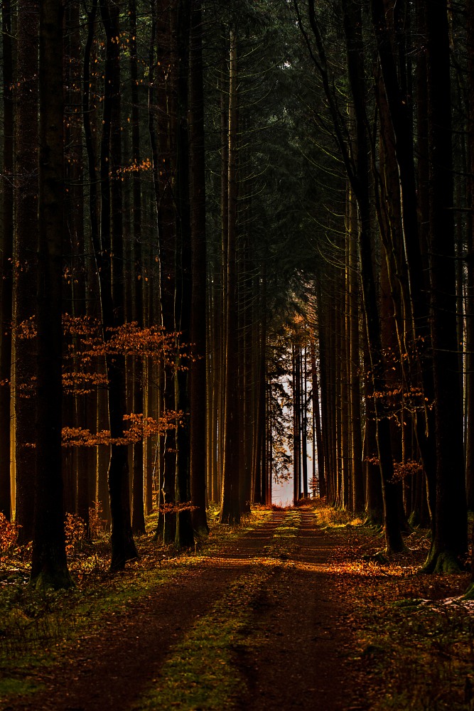 8. Platz Conny Kleiner